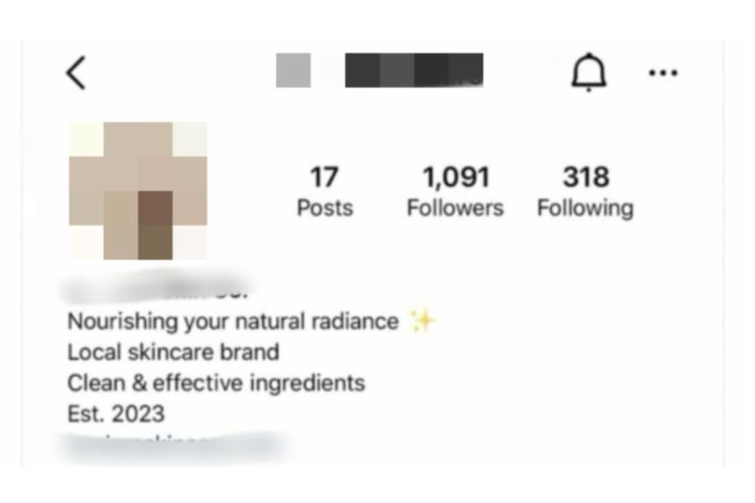 Instagram Growth Case Study