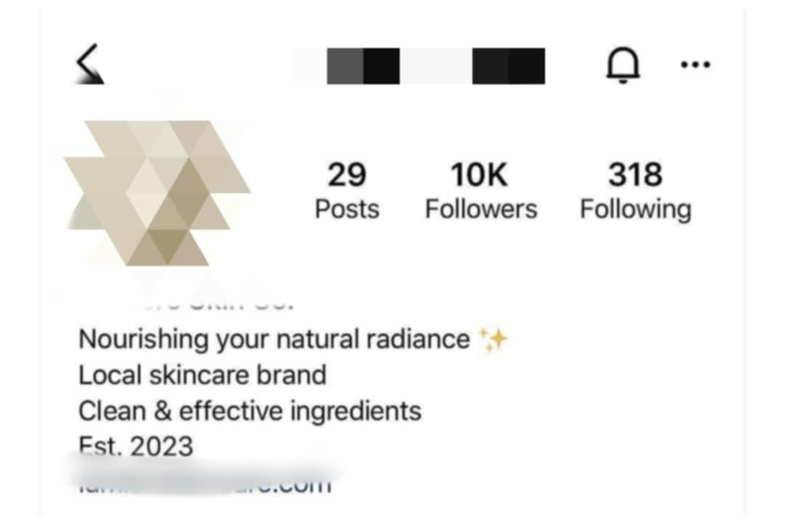 Instagram Growth 2