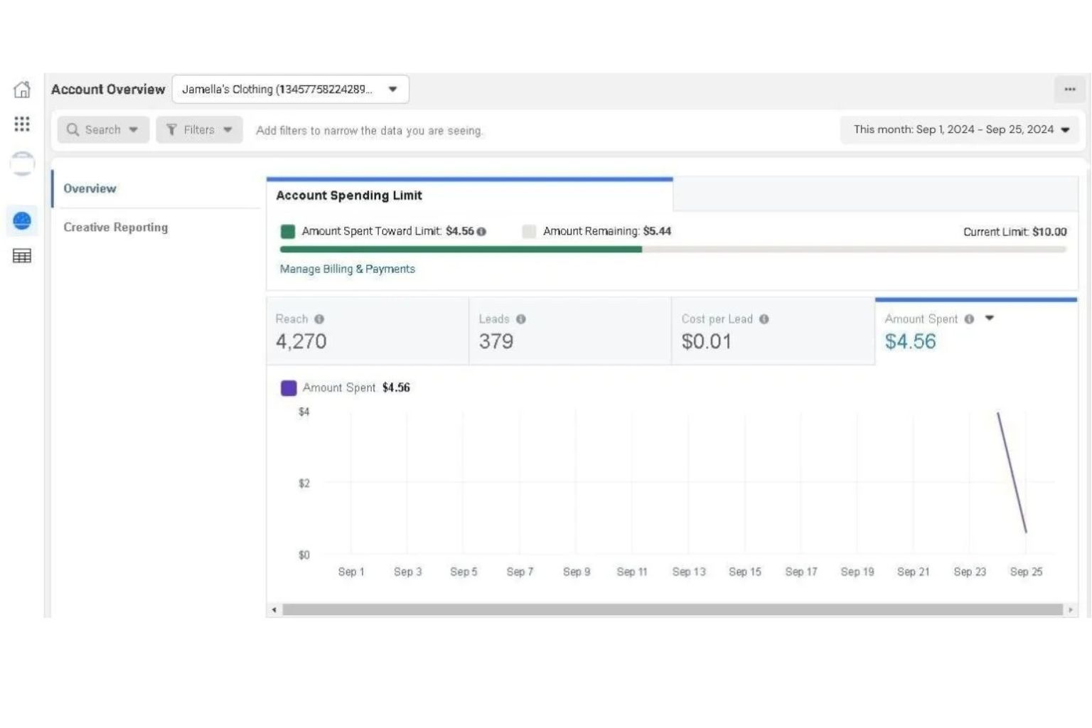 Facebook Leads Campaign Result